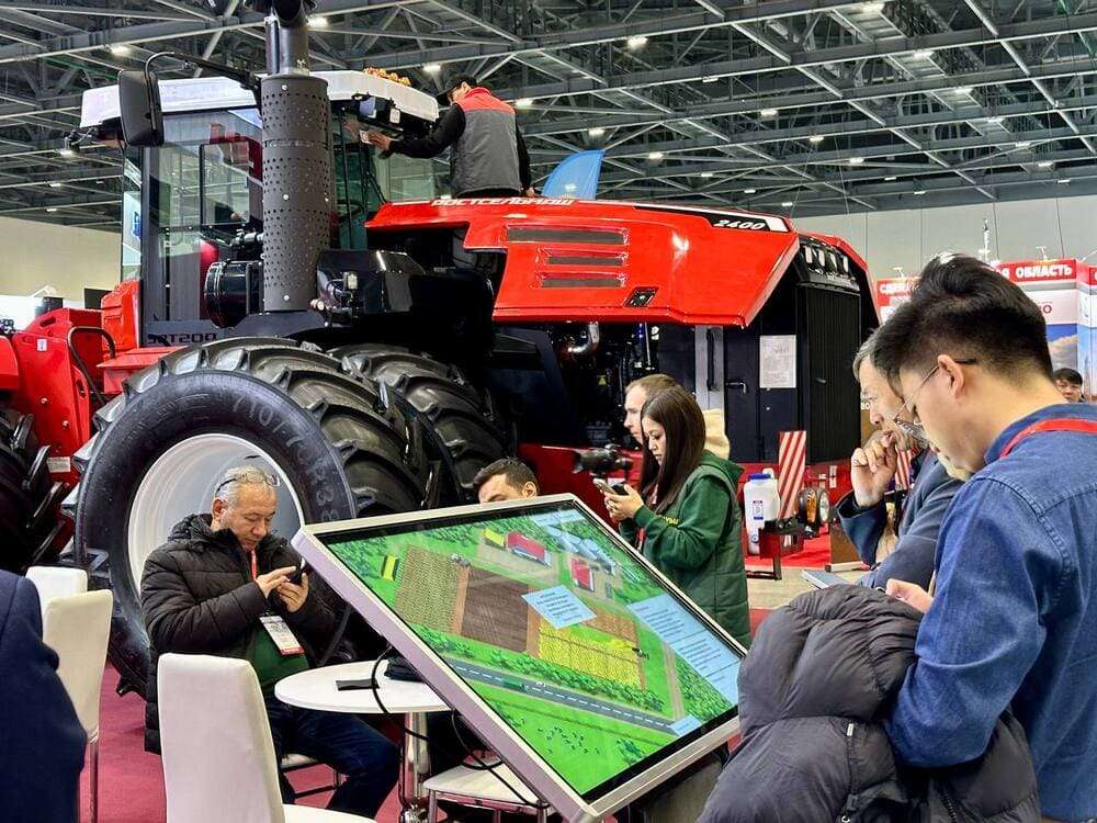 KazFarm KazFarm